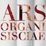 Ars organi Sisciae 2012
